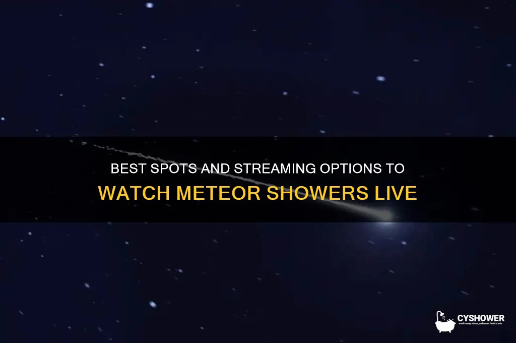 where can i watch meteor shower