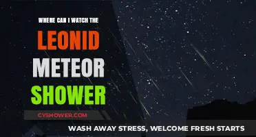Best Viewing Spots for the Leonid Meteor Shower This Year
