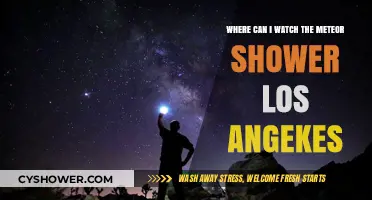 Best Spots to Watch the Meteor Shower in Los Angeles