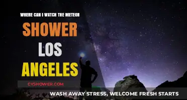 Best Spots to Watch the Meteor Shower in Los Angeles