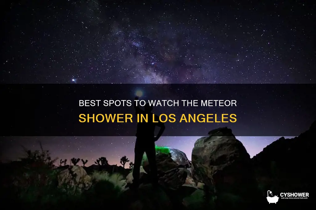 where can i watch the meteor shower los angeles