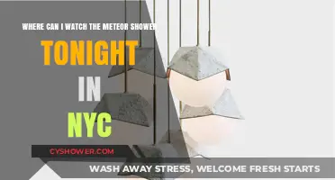 Best NYC Spots to Watch Tonight's Meteor Shower: A Guide
