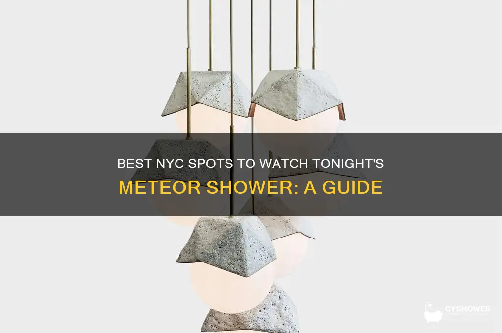 where can i watch the meteor shower tonight in nyc