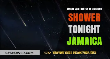 Jamaica's Night Sky: Best Spots to Watch Tonight's Meteor Shower