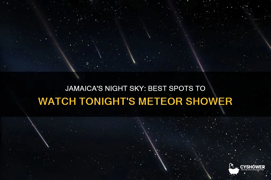 where can i watch the meteor shower tonight jamaica