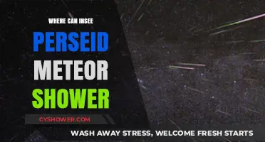 Best Spots to Watch the Perseid Meteor Shower This Year