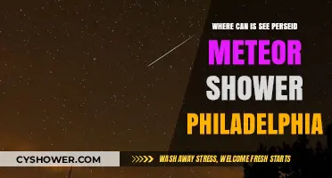 Best Spots in Philadelphia to Watch the Perseid Meteor Shower