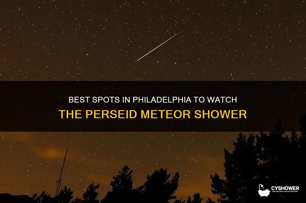 where can is see perseid meteor shower philadelphia