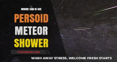 Best Spots to Witness the Perseid Meteor Shower This Year