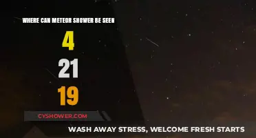 Meteor Shower Viewing Spots on April 21, 2019: A Guide