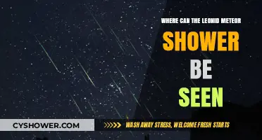 Best Viewing Locations for the Leonid Meteor Shower Worldwide