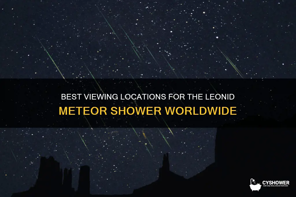 where can the leonid meteor shower be seen