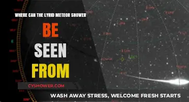 Best Viewing Spots for the Lyrid Meteor Shower Worldwide