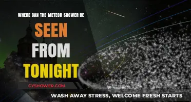 Tonight's Meteor Shower: Best Viewing Locations and Tips