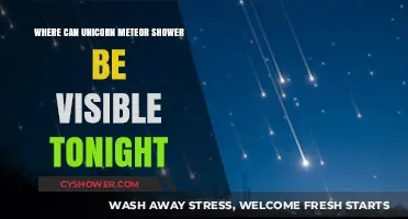 Unicorn Meteor Shower Visibility Guide: Where to Watch Tonight
