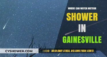 Best Spots to Watch Meteor Showers in Gainesville, Florida