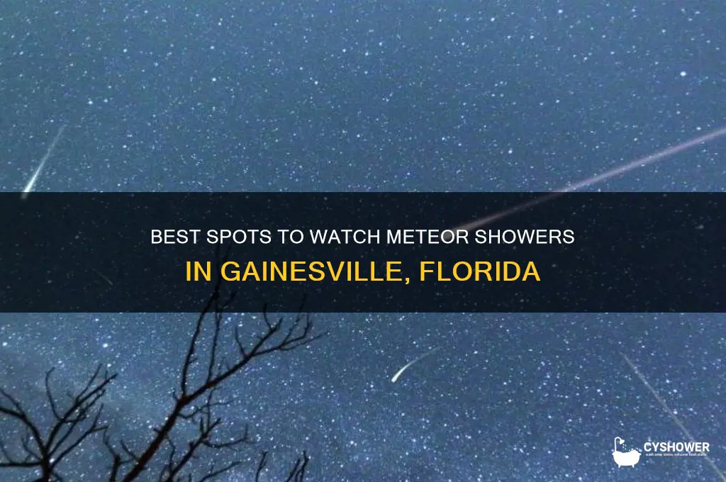 where can watch meteor shower in gainesville