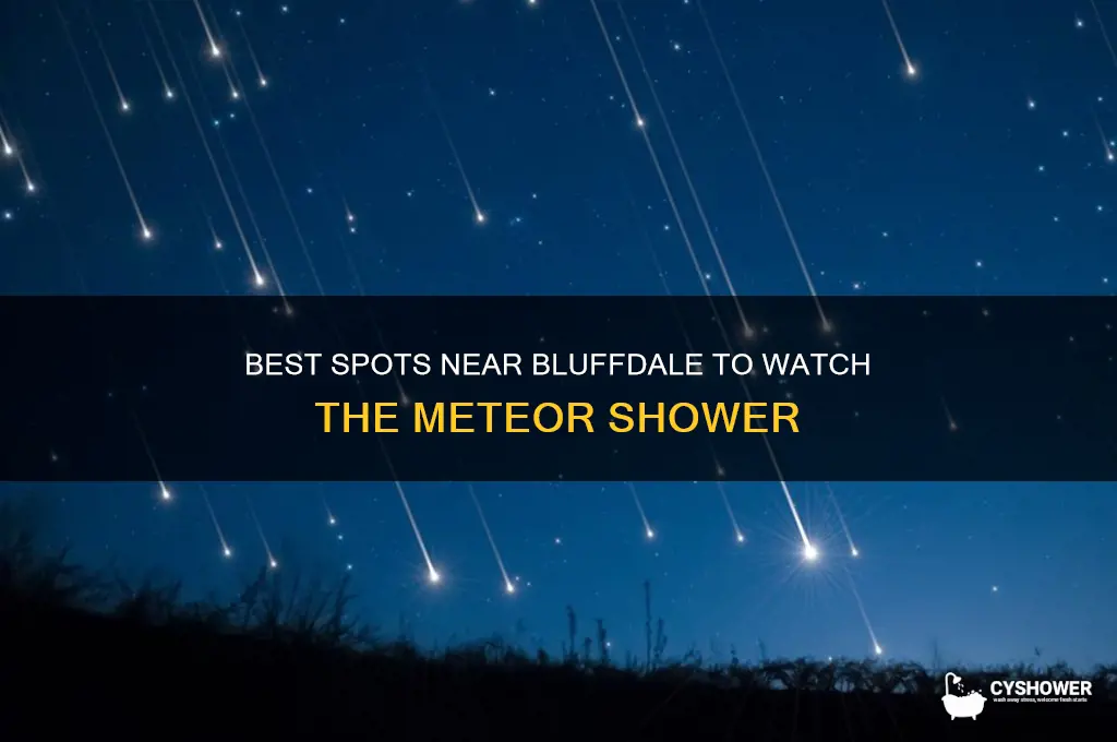 where can we see the meteor shower near bluffdale