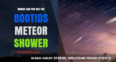 Best Viewing Spots for the Bootids Meteor Shower