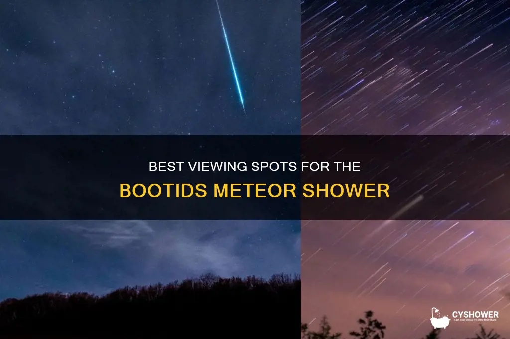 where can you see the bootids meteor shower