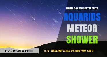 Best Viewing Spots for the Delta Aquarids Meteor Shower