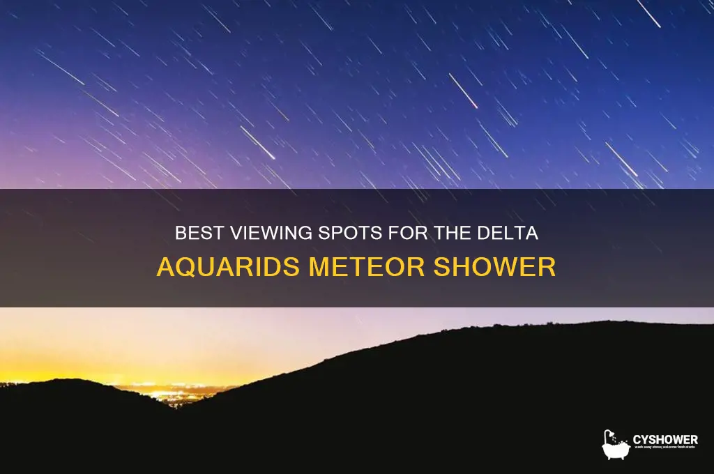 where can you see the delta aquarids meteor shower