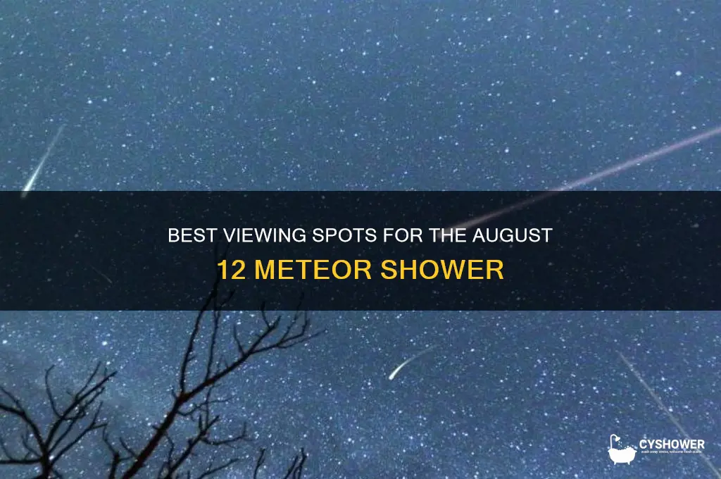 where can you see the meteor shower on august 12