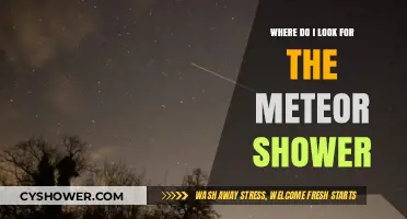 Best Spots to Watch Meteor Showers: A Stargazer's Guide