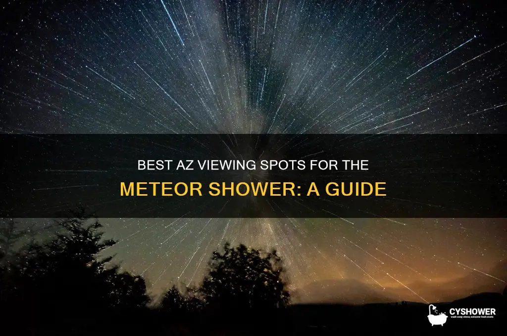 where do i look from az to see meteor shower