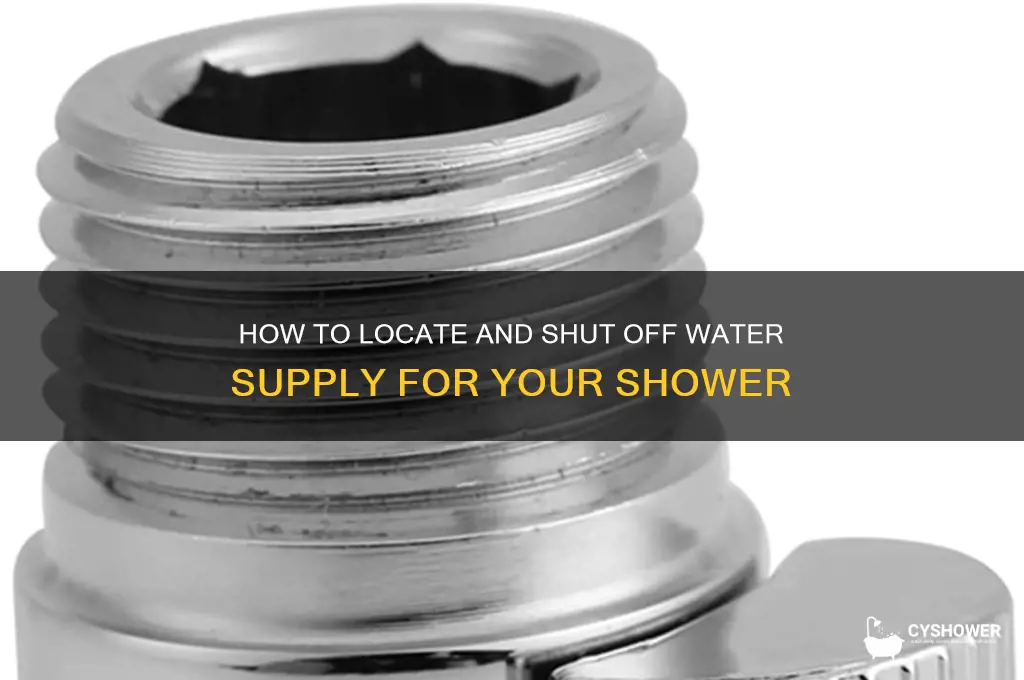 where do i turn off water for my shower
