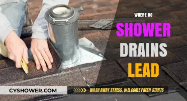 Where Do Shower Drains Lead? Uncovering the Hidden Plumbing Path
