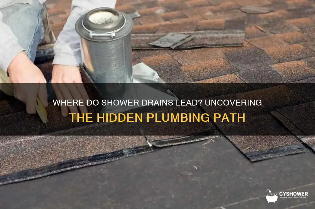 where do shower drains lead