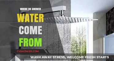 Where Does Shower Water Come From? Uncovering the Source