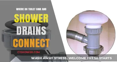 Where Do Toilet, Sink, and Shower Drains Connect?