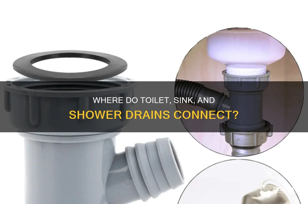 where do toilet sink and shower drains connect