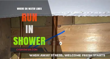 Understanding Shower Plumbing: Where Do Water Lines Run in Your Shower?
