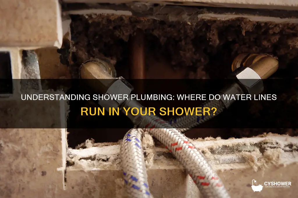 where do water lines run in shower
