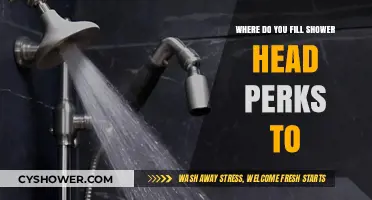 Where to Fill Shower Head Perks: A Comprehensive Guide