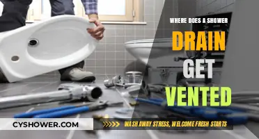 Where Does a Shower Drain Get Vented: A Plumbing Guide