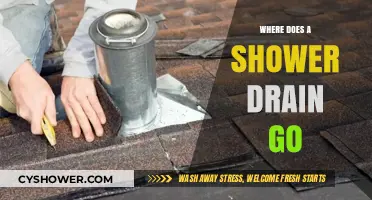 Where Does a Shower Drain Go? Uncovering the Plumbing Path