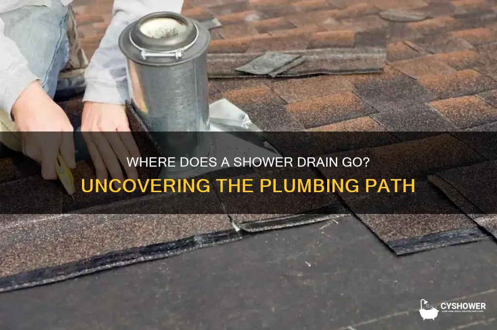 where does a shower drain go