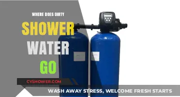 Where Does Dirty Shower Water Go? Uncovering Drainage Systems and Wastewater Treatment