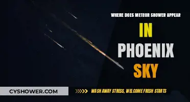 Phoenix Sky's Meteor Shower: Where and When to Watch