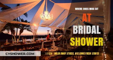 Where Does Mog Sit? Bridal Shower Seating Guide for Guests