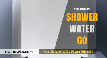Where Does Shower Water Go? Tracing the Journey After Drain