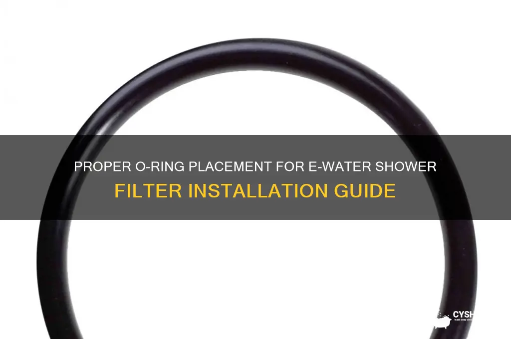 where does o ring go on e water shower filter