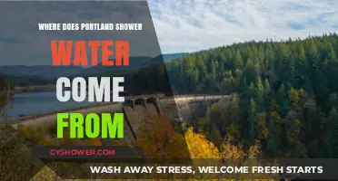 Portland's Shower Water Sources: A Deep Dive into the City's Supply