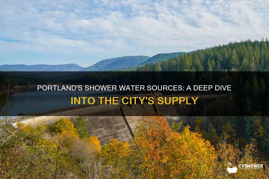 where does portland shower water come from
