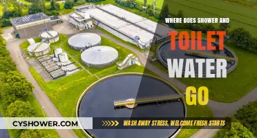 Where Does Shower and Toilet Water Go? Uncovering the Journey