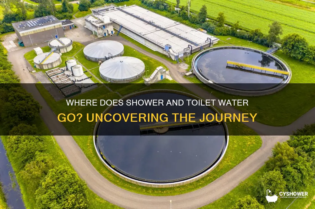 where does shower and toilet water go